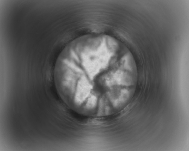 X0000088750078200706282213