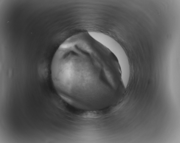 X0000088750080200706282213