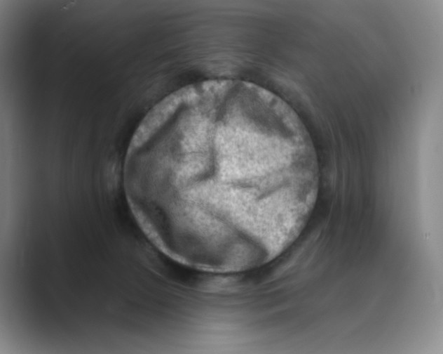 X0000088750081200706282213