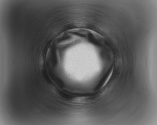 X0000088750084200706282214