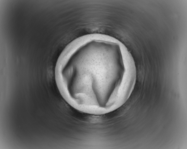 X0000088750085200706282214