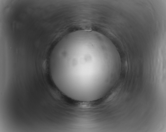 X0000088750088200706282214