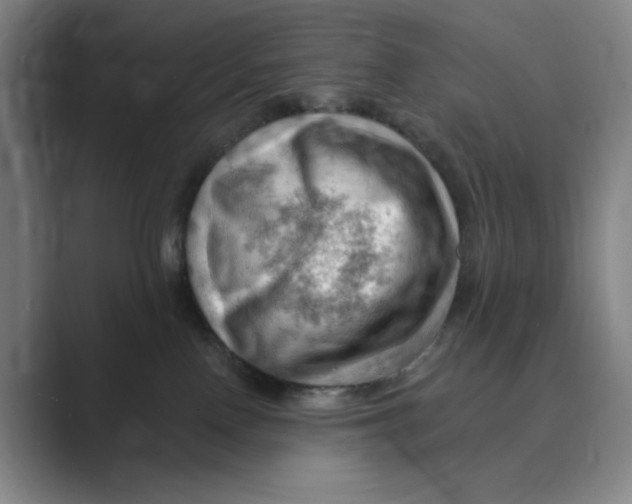 X0000088750090200706282214