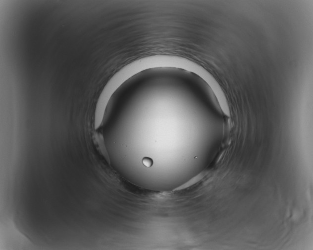 X0000088750092200706282214