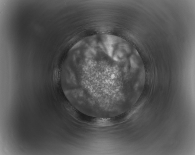 X0000088750093200706282214