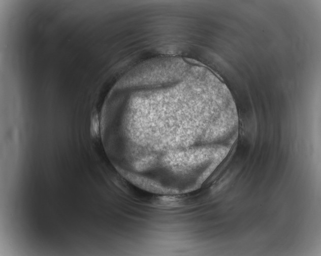 X0000088750095200706282214