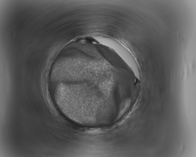 X0000088750097200706282213