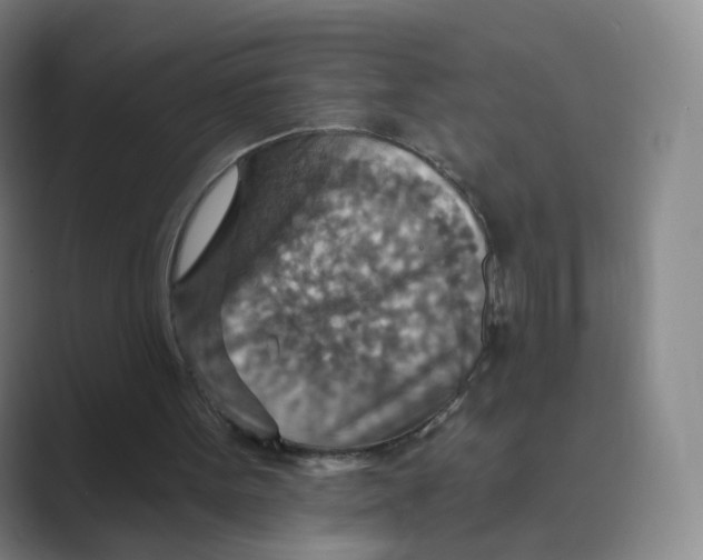 X0000088750099200706282213