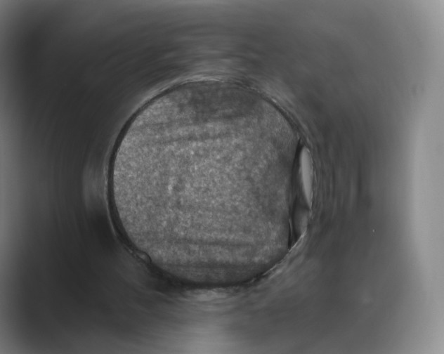 X0000088750100200706282213