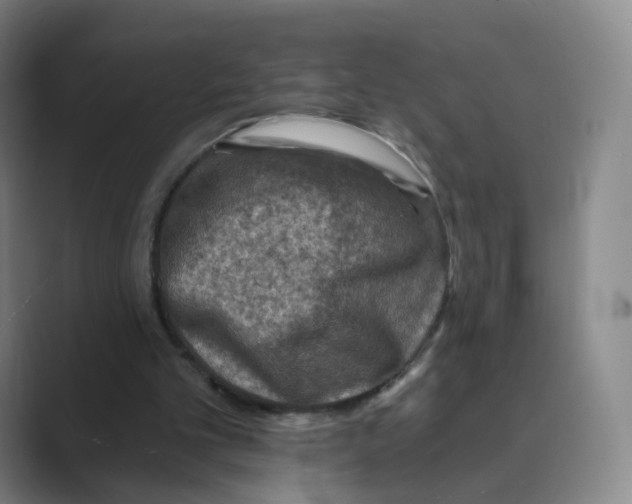 X0000088750101200706282213