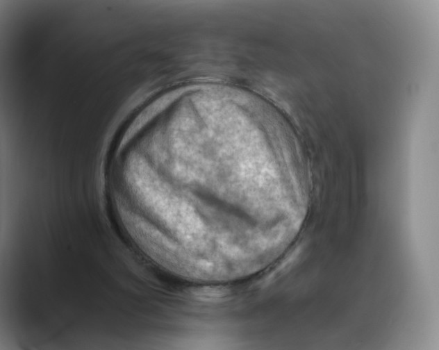 X0000088750102200706282213