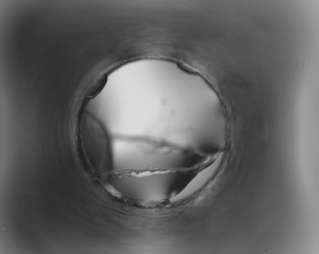 X0000088750103200706282213