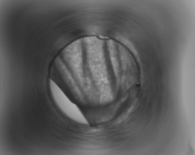 X0000088750105200706282213