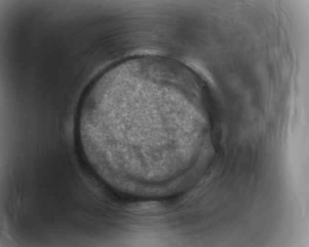 X0000088750108200706282213