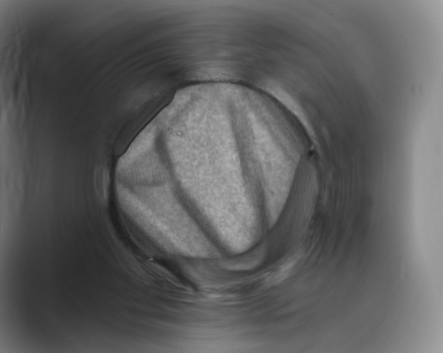 X0000088750109200706282213