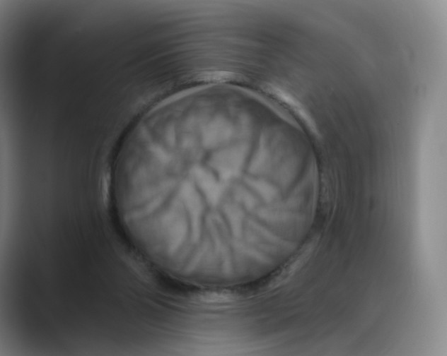 X0000088750110200706282213