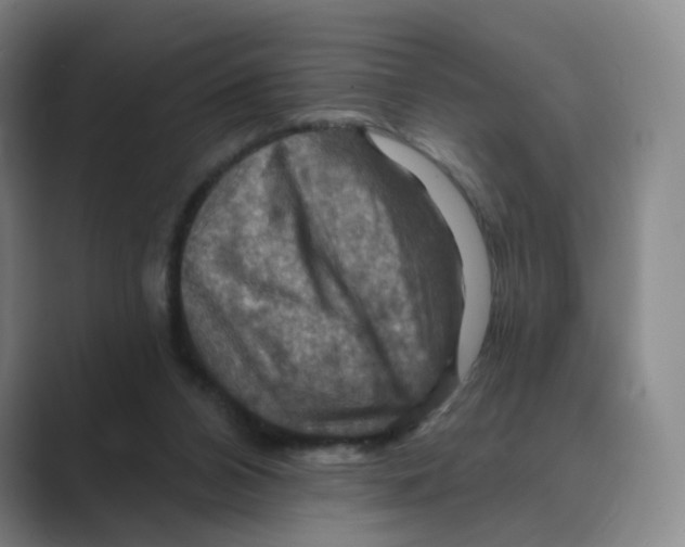 X0000088750112200706282213