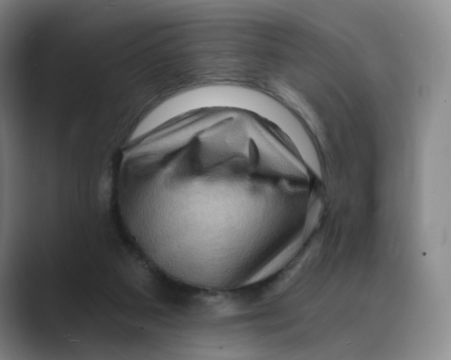 X0000088750113200706282213