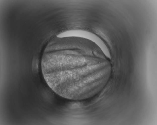 X0000088750115200706282213