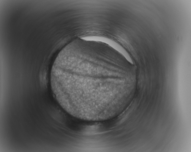 X0000088750116200706282213