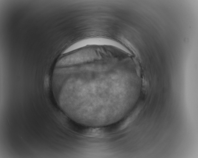 X0000088750117200706282213