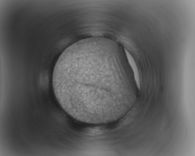 X0000088750120200706282213