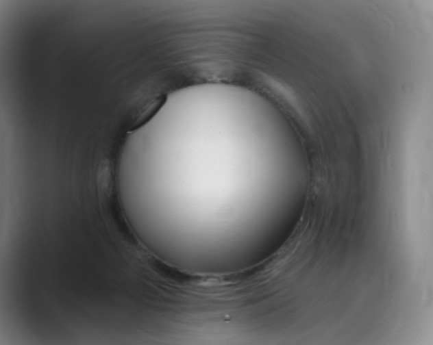 X0000088750121200706282213