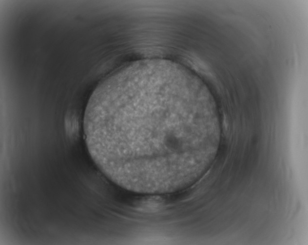 X0000088750124200706282213