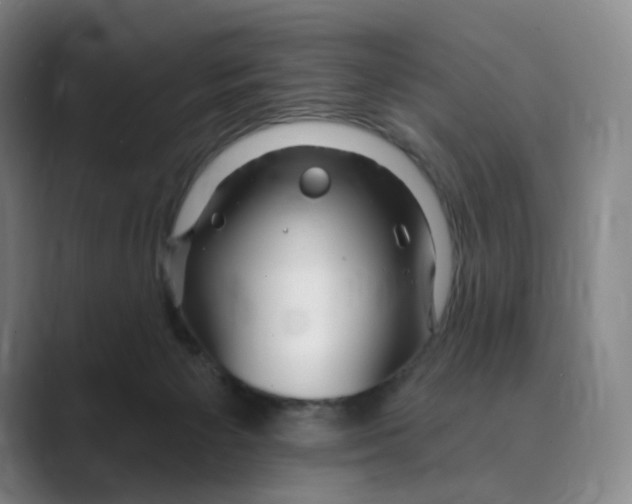 X0000088750125200706282213