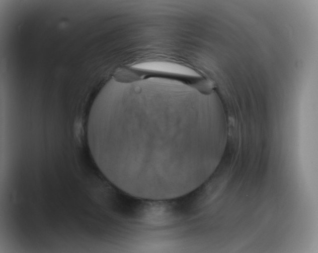 X0000088750127200706282213