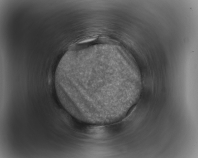 X0000088750132200706282213