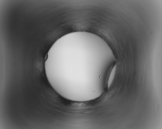 X0000088750133200706282213