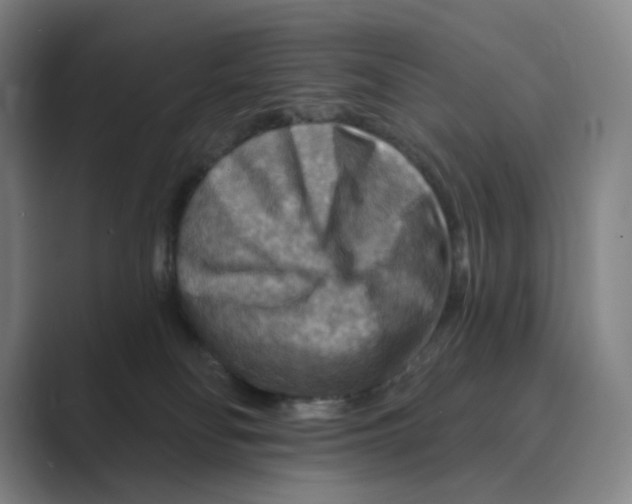 X0000088750134200706282213