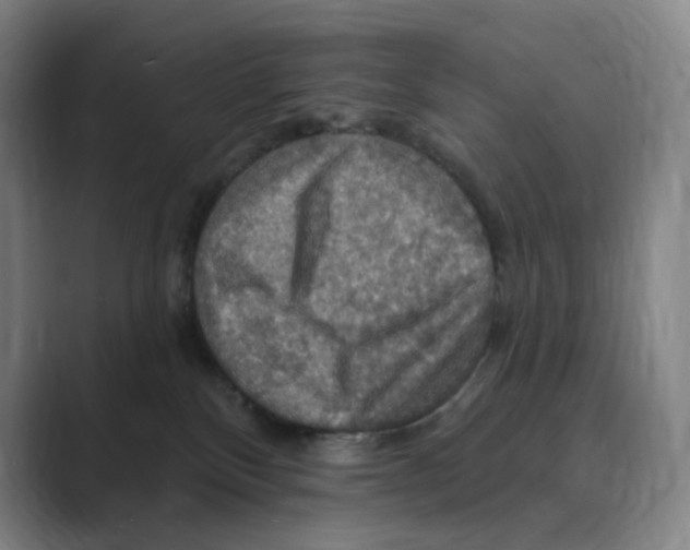 X0000088750136200706282213