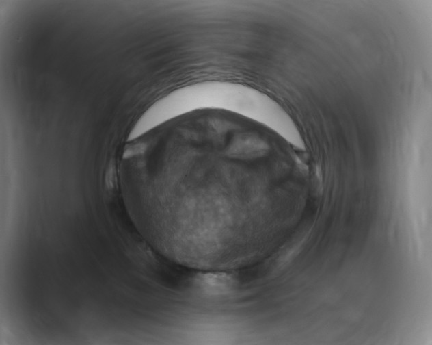 X0000088750137200706282213