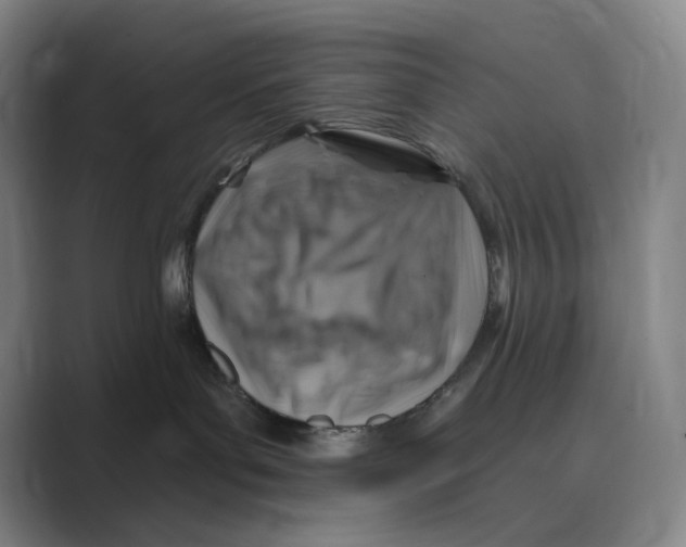 X0000088750143200706282212