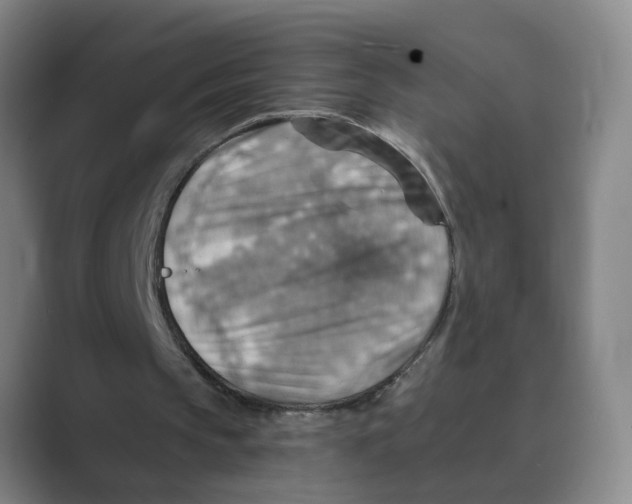 X0000088750145200706282212