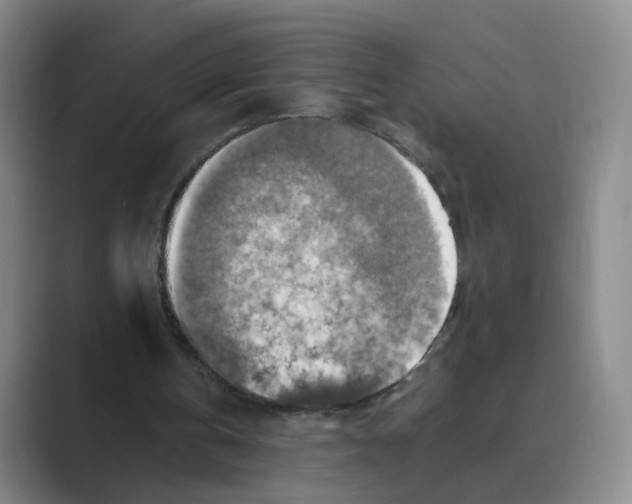 X0000088750146200706282212