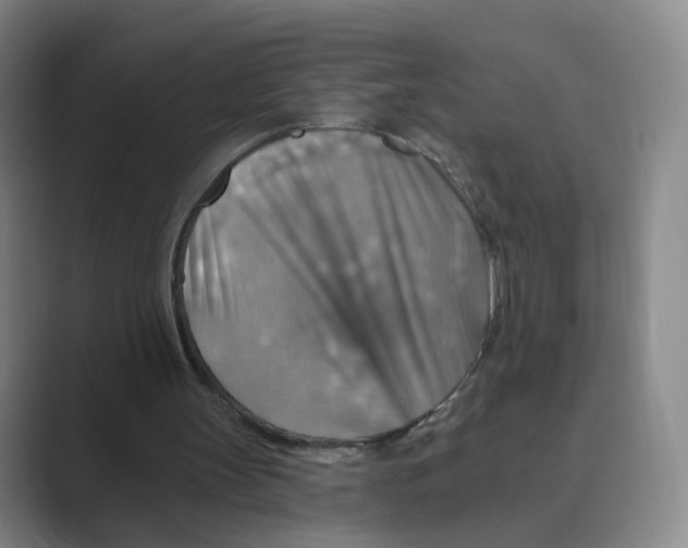 X0000088750147200706282212