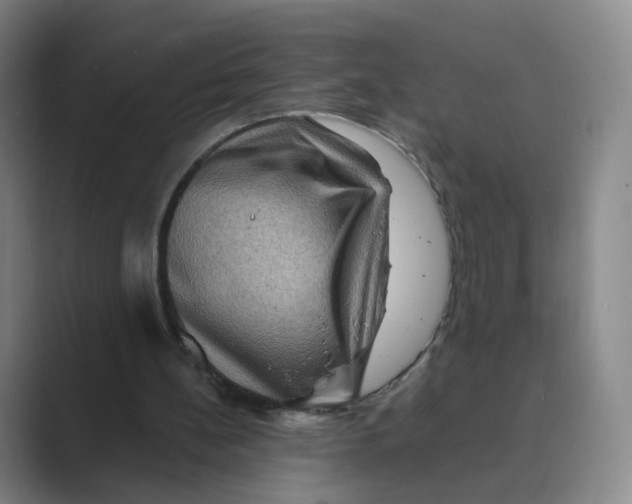 X0000088750148200706282212