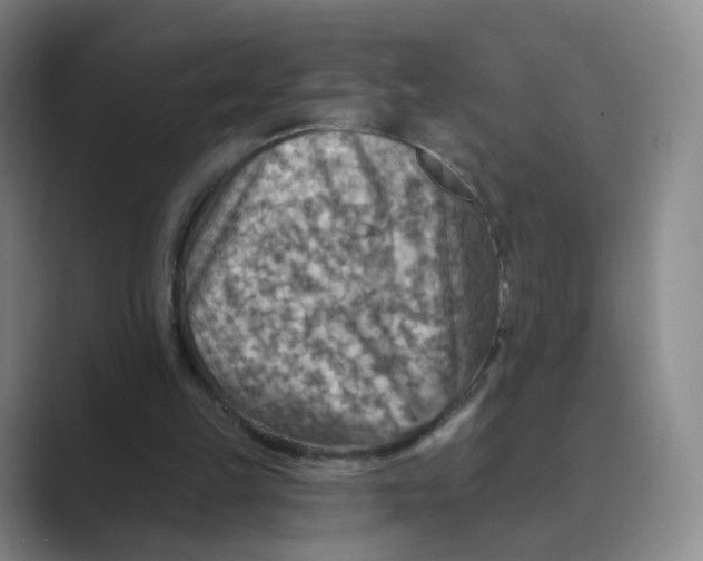 X0000088750149200706282212