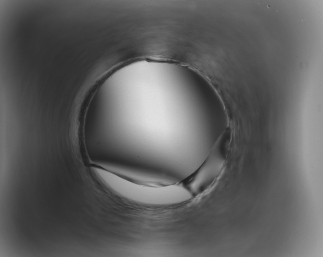 X0000088750150200706282212