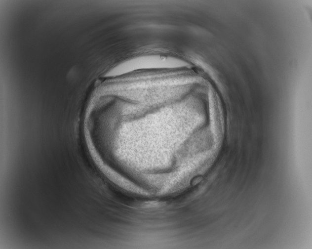 X0000088750153200706282212