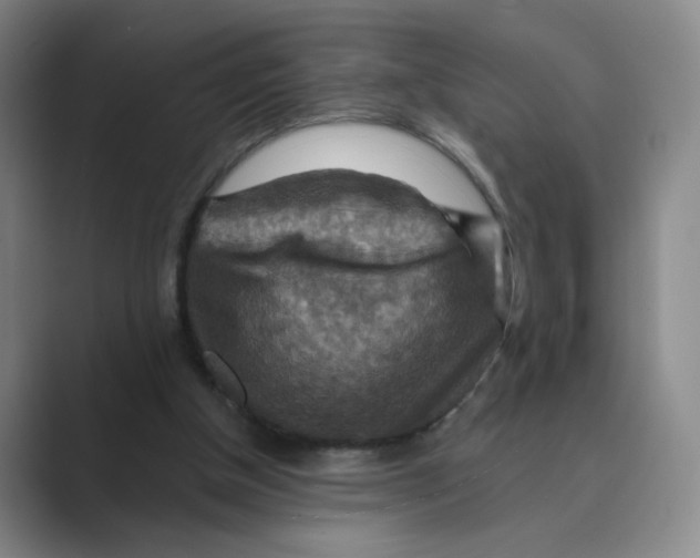 X0000088750154200706282212