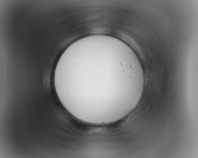 X0000088750155200706282212