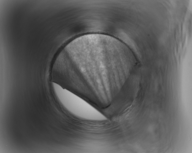 X0000088750156200706282212