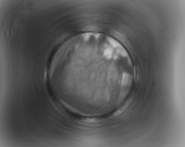 X0000088750157200706282212