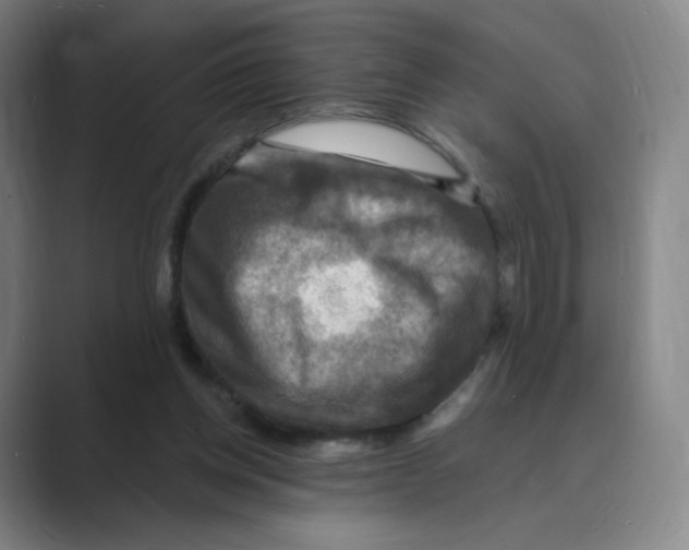 X0000088750158200706282212