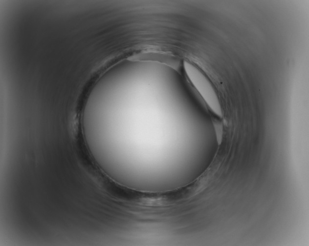 X0000088750160200706282212