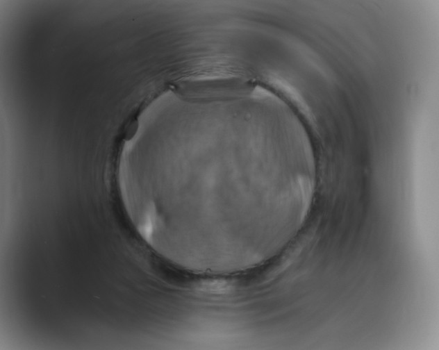 X0000088750161200706282212